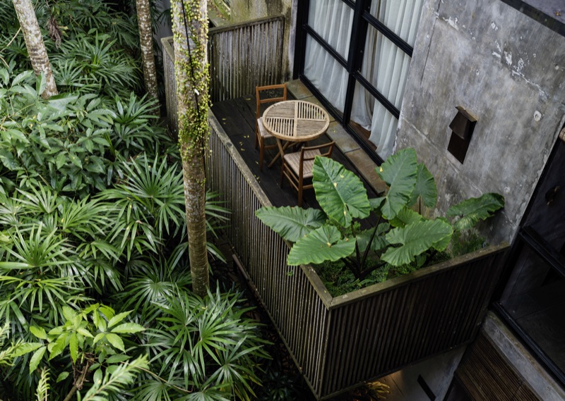 Tropical balcony with lush green plants and wooden terrace