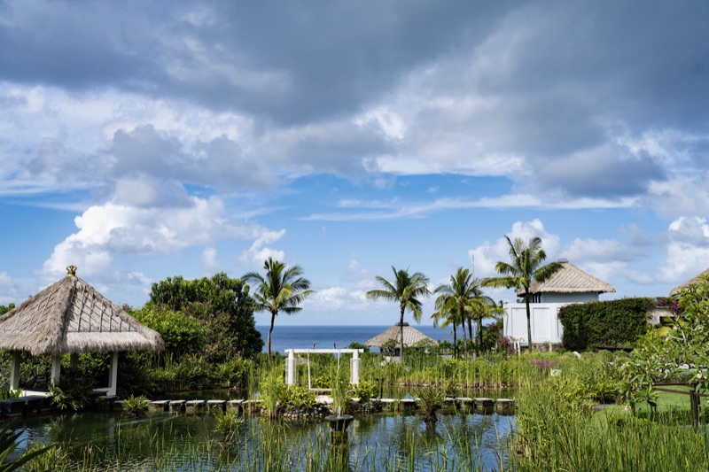 Tropical resort with thatched pavilions and lotus pond